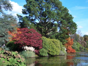 Sheffield-Park-colours